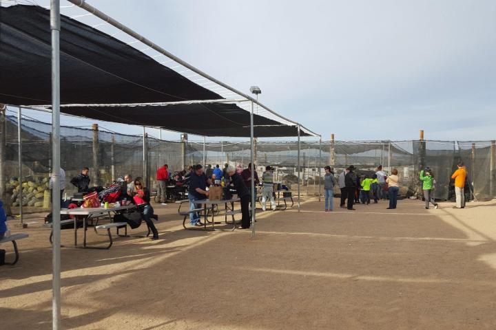 People at picnic tables under shades in an outdoor area with fencing.